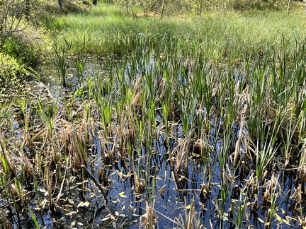 23-05-27 10-39-21 5718